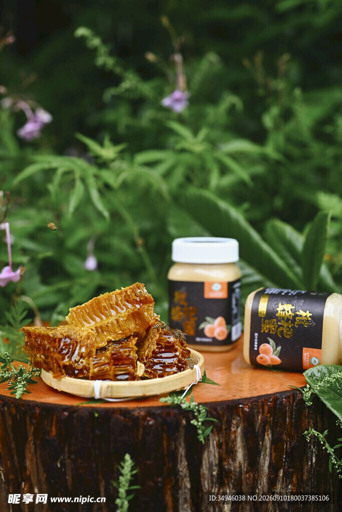 树桩上的蜂蜜及相关美食