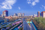 城市道路旁的多彩景观