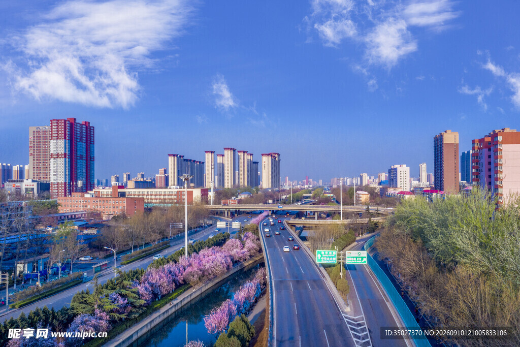 城市道路旁的多彩景观
