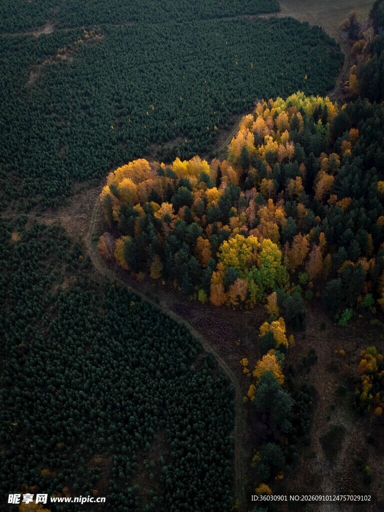 秋日山林俯瞰美景
