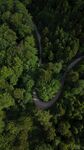 航拍山林间蜿蜒公路