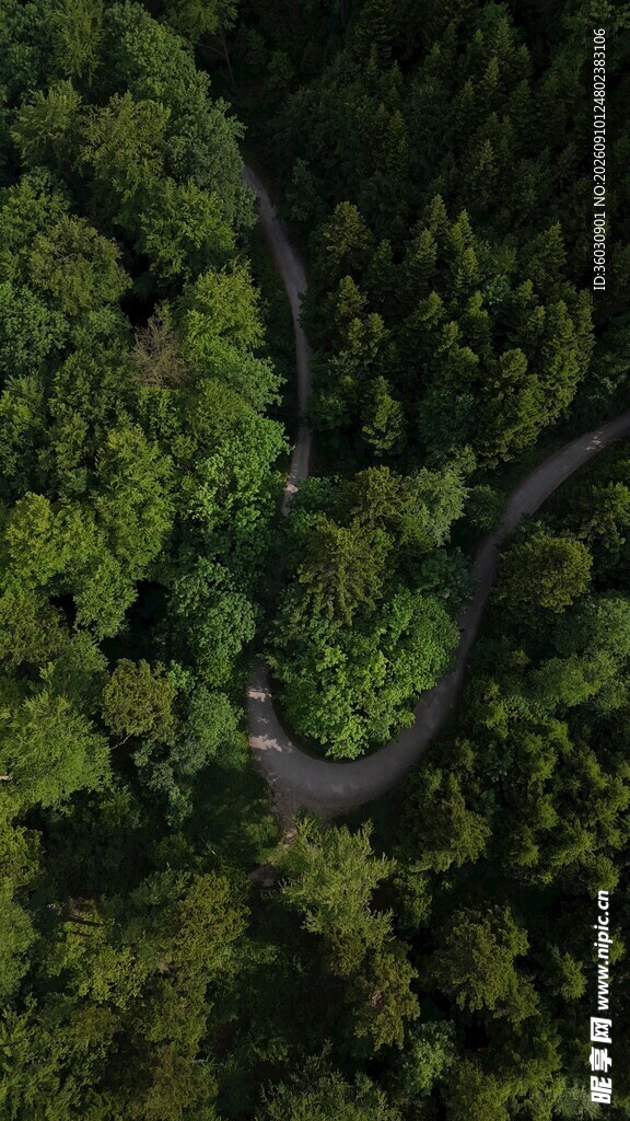 航拍山林间蜿蜒公路