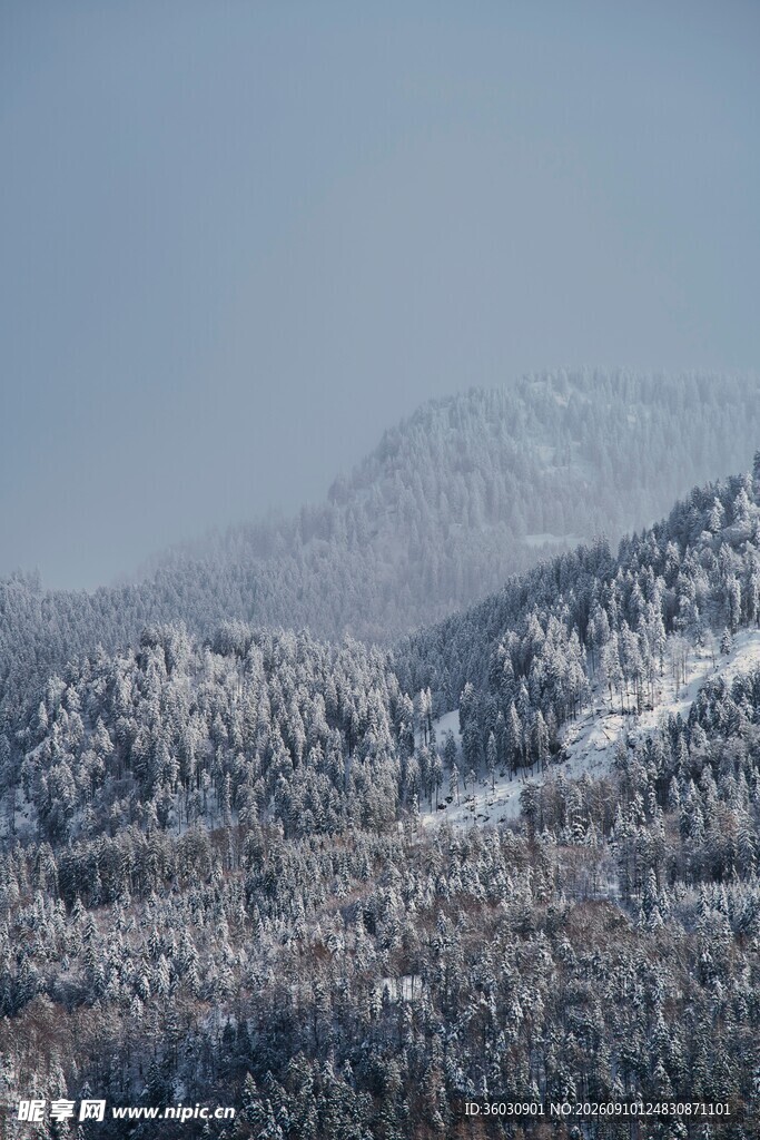 雪覆山林的壮美山景