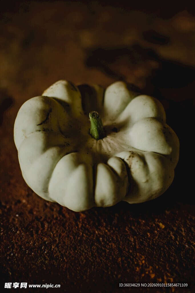 白南瓜静物特写