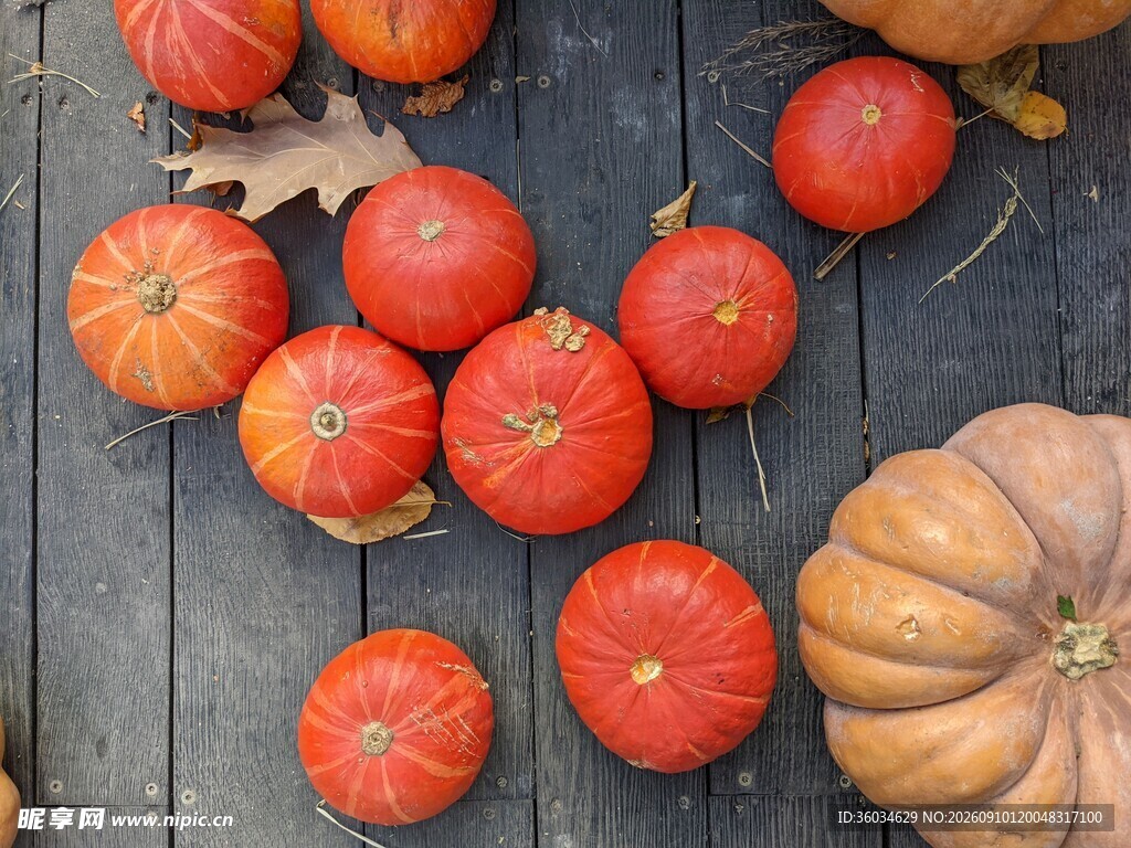 秋日南瓜静物摆拍