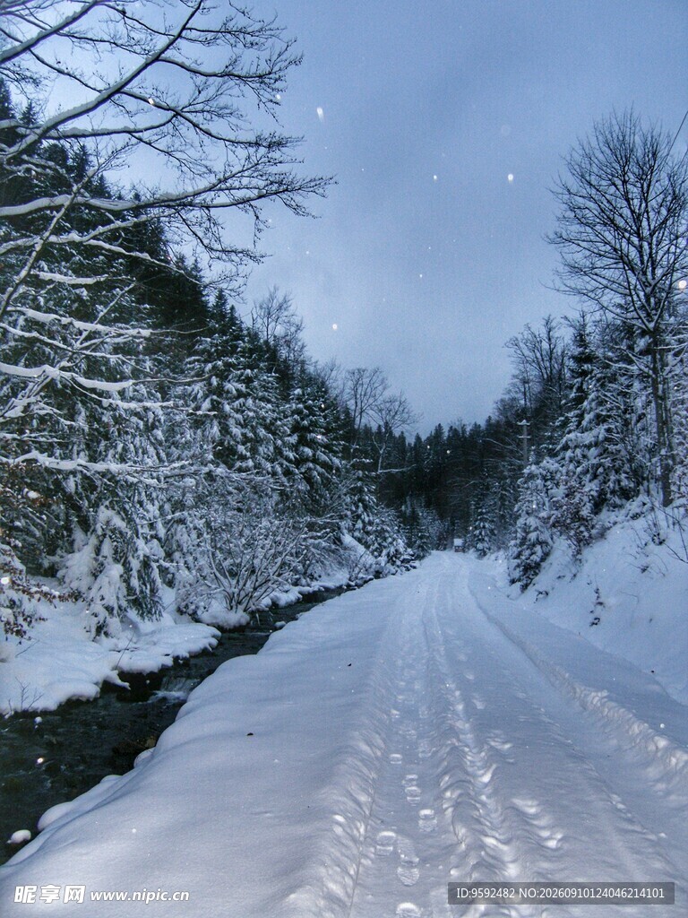 冬日雪覆小路美景