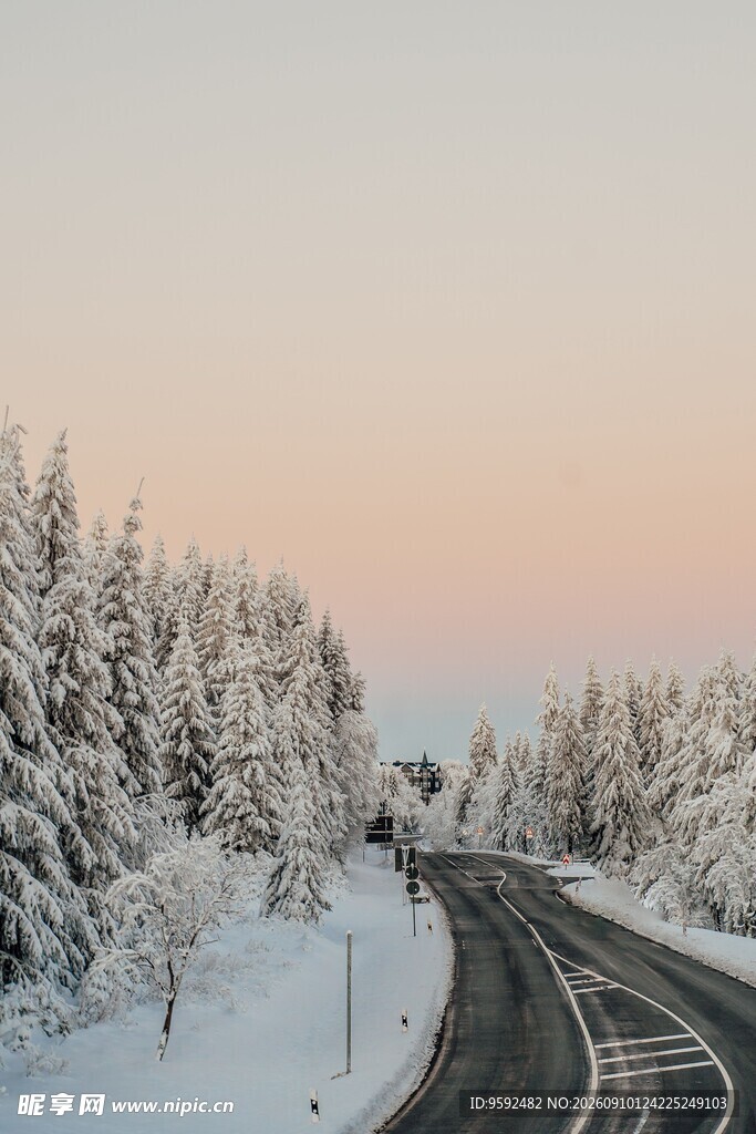冬日雪覆公路与松林美景