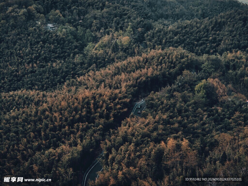 秋日山林俯瞰美景