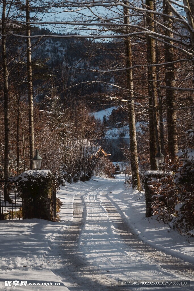 冬日雪覆林间小道