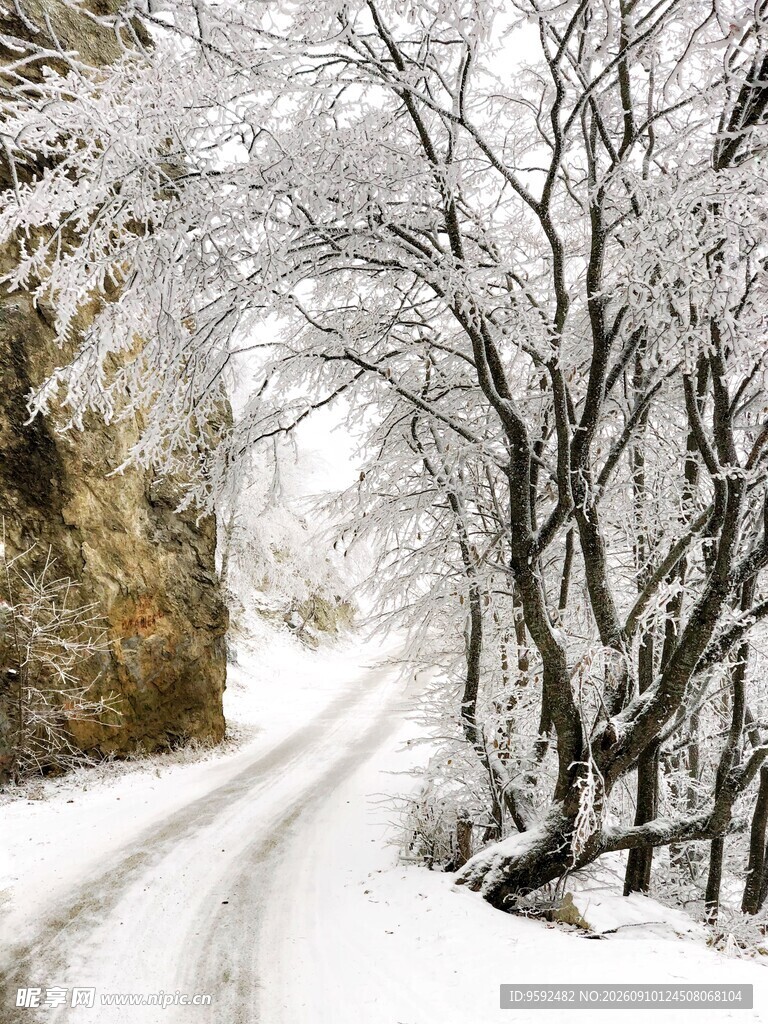 冬日雪覆小路的静谧景致