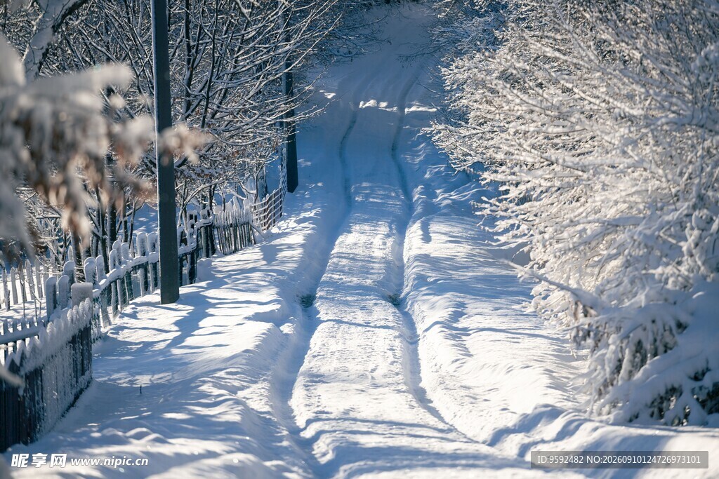 冬日雪覆林间小路