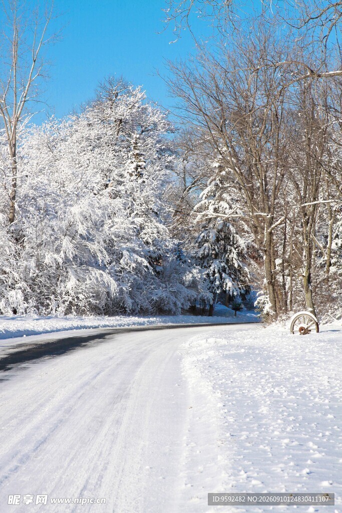 冬日雪覆道路美景