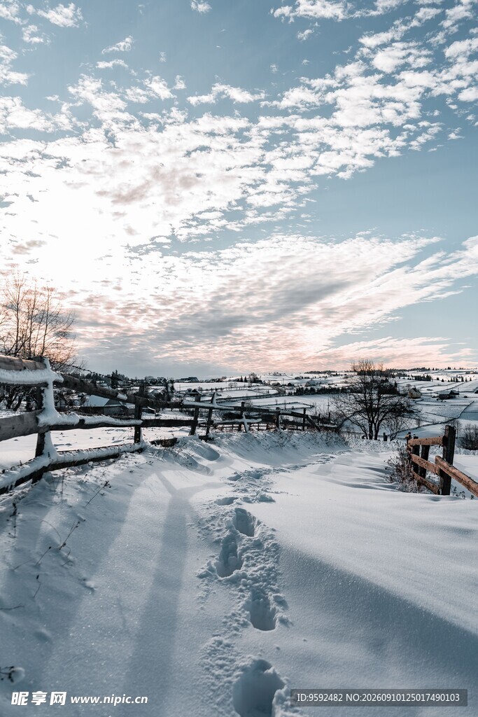 冬日雪中小径美景