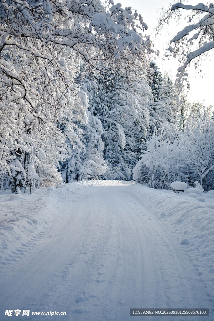 冬日雪覆林间小路