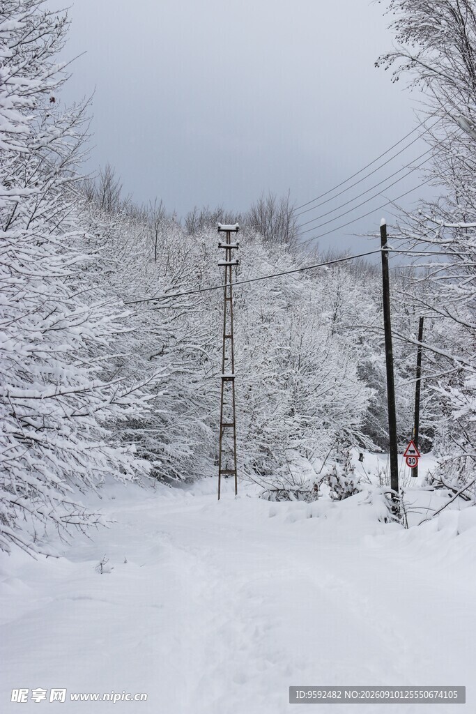 冬日雪覆小路静谧雪景