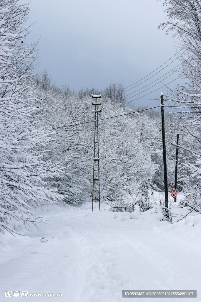 冬日雪覆林间小路