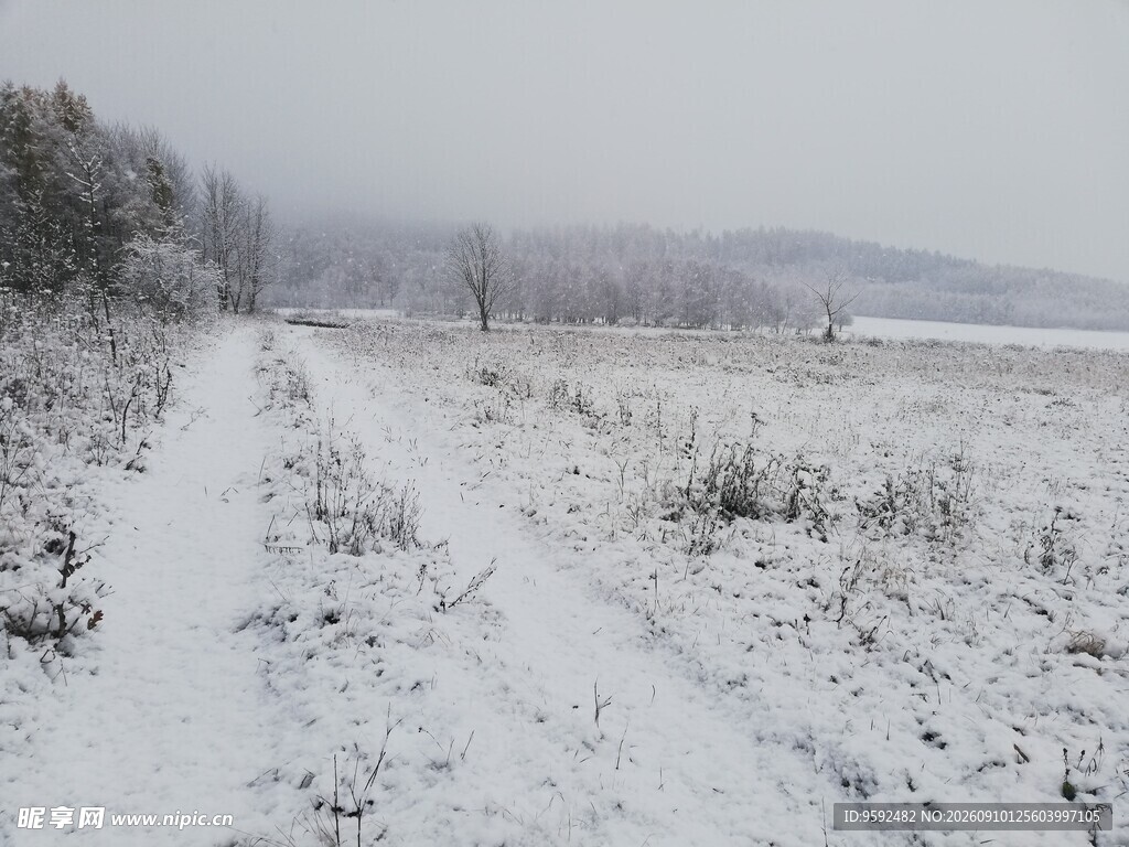 冬日雪野中的寂静小路