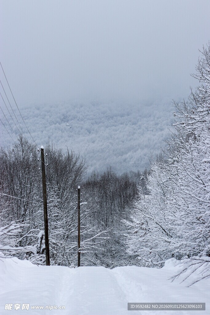 冬日雪景中的静谧乡村小道