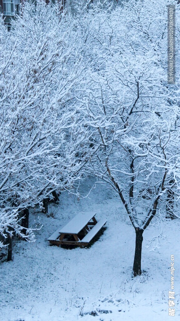 雪覆树林中的休闲躺椅