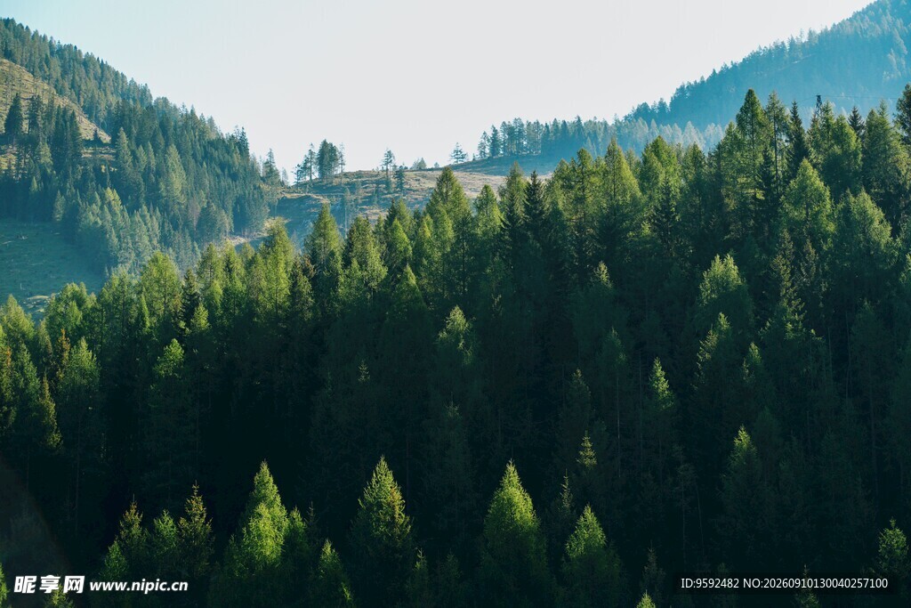 山林葱郁的自然美景