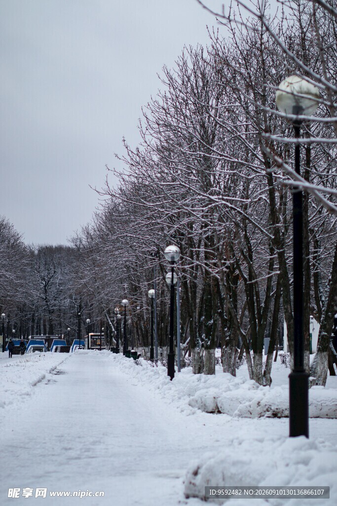 冬日雪覆街道景观
