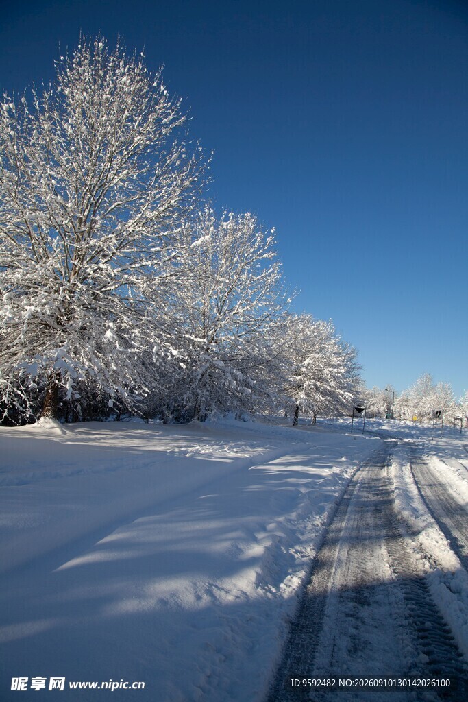 冬日雪覆道路的美丽景象