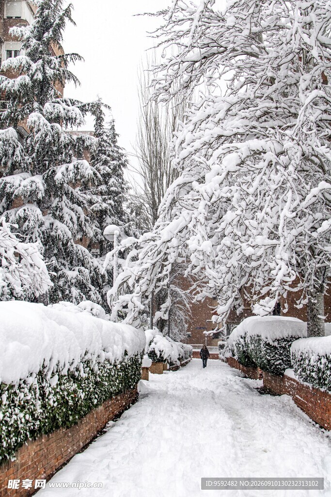 雪覆园林小径景致如画