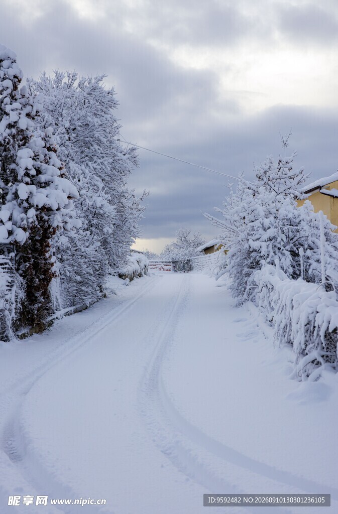 冬日雪景中的静谧小道