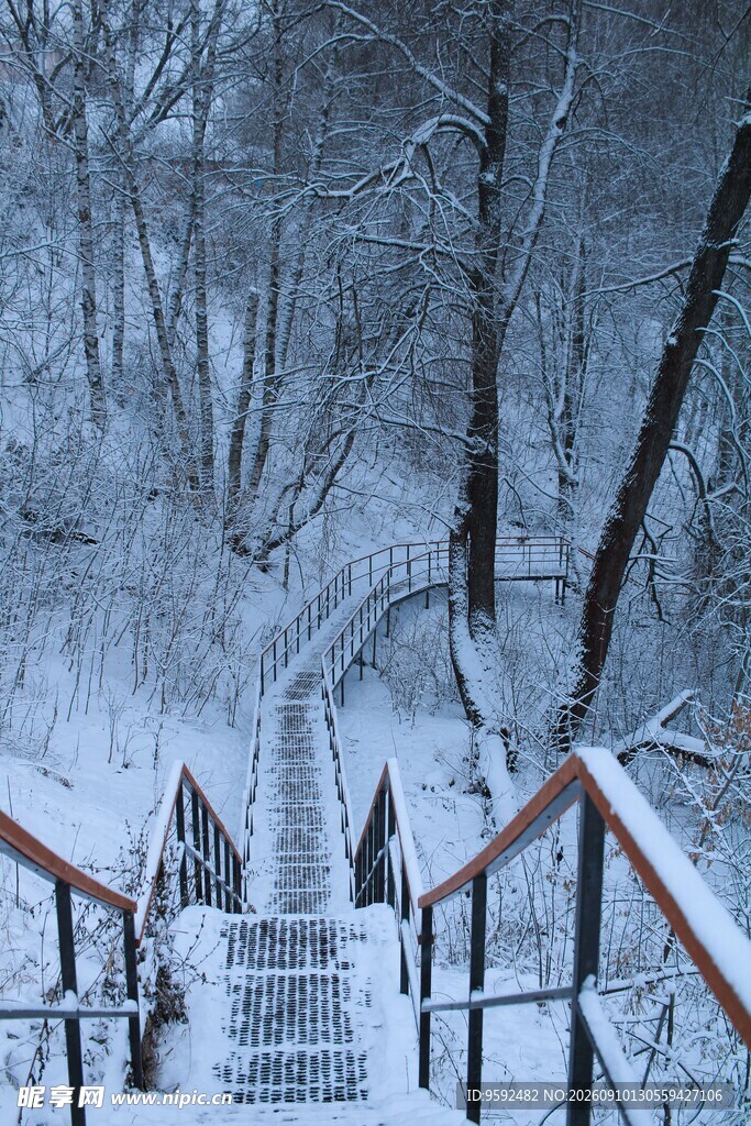 雪覆阶梯的静谧冬日景象