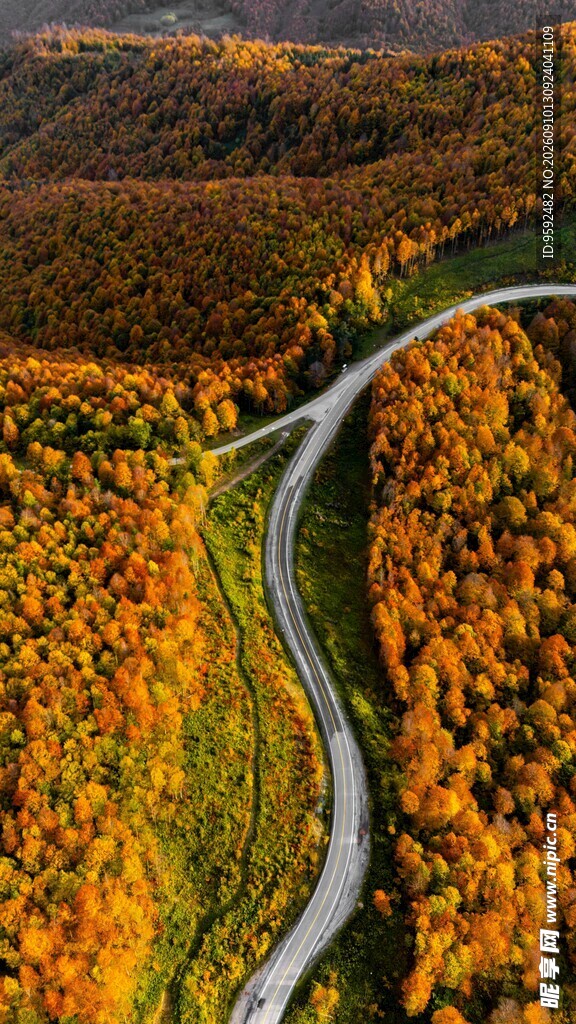 秋日蜿蜒公路的斑斓景致