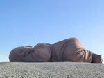 大地之子