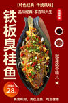 铁板臭桂鱼
