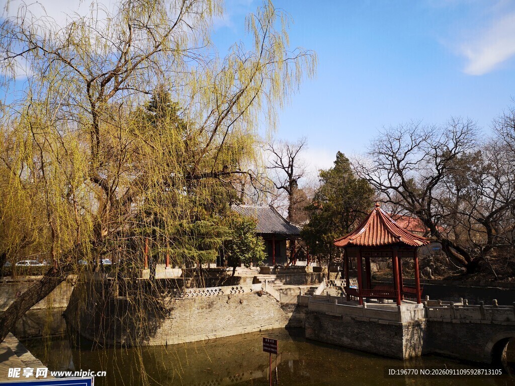 山东戴庄荩园风景摄影