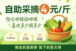 自助采摘 新鲜果蔬