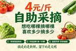 共享农场 采摘园广告