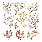 花卉花枝素材