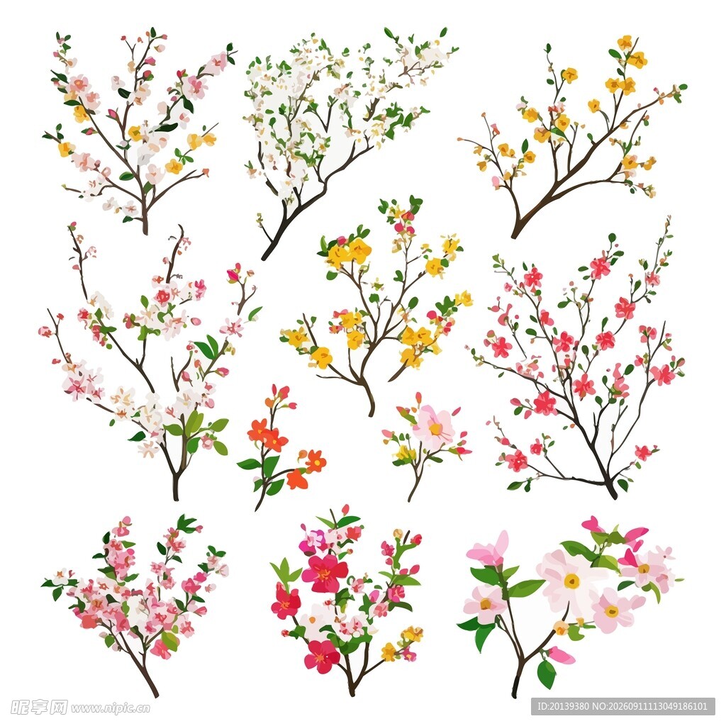 花卉花枝素材