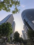 城市高楼与街道景象