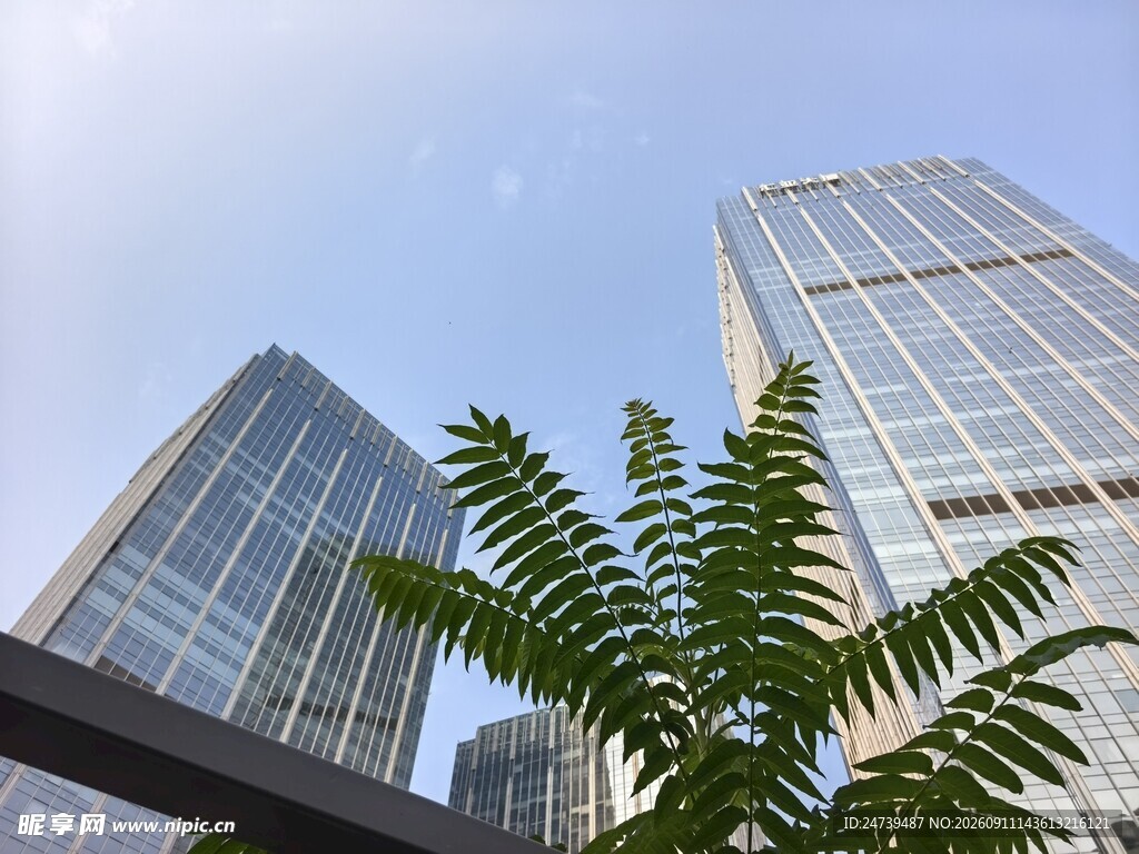 现代摩天大楼外观