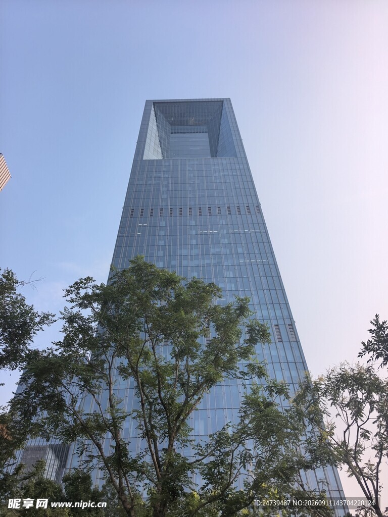 摩天大楼与绿树相映成趣