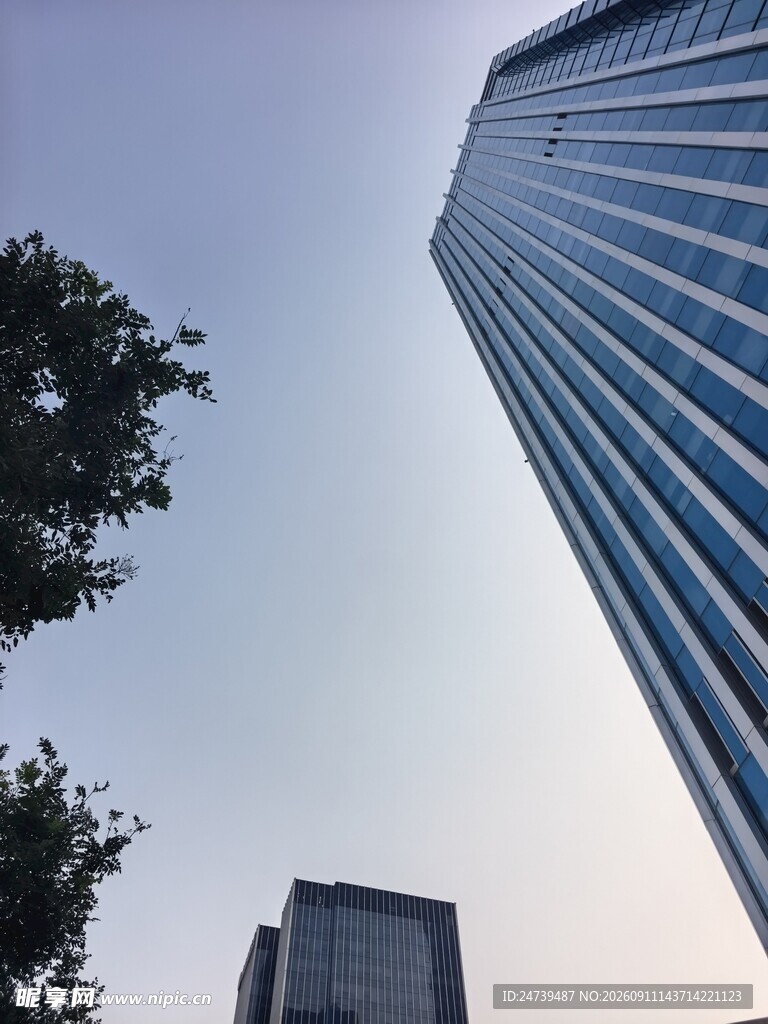 仰视都市摩天大楼与绿树