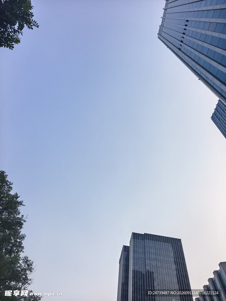 仰视都市摩天大楼与绿树