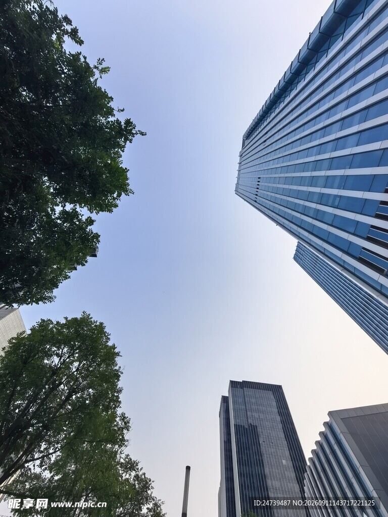 仰视都市摩天大楼与绿树