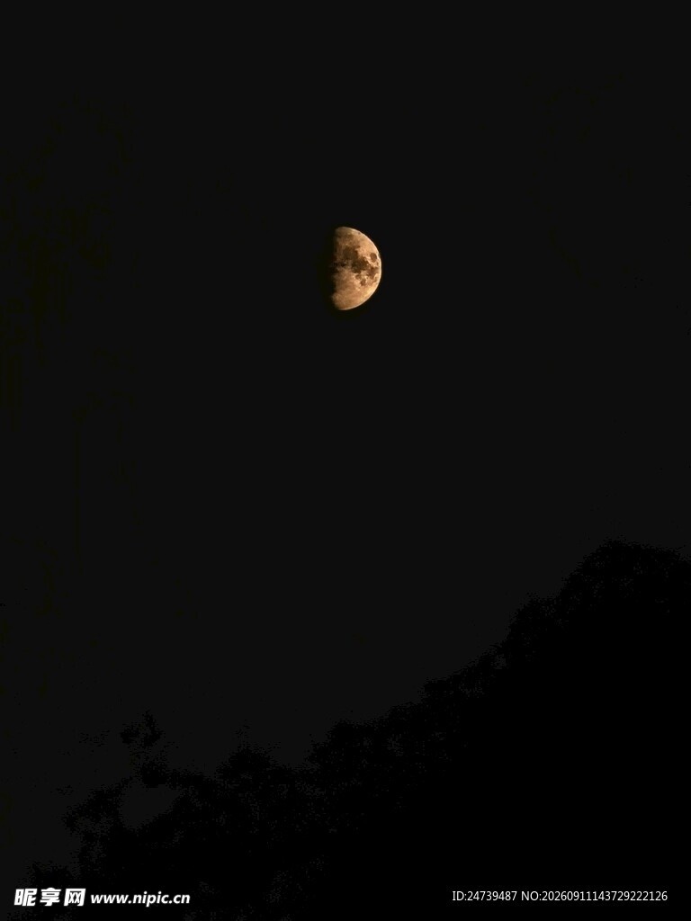 夜空下的月