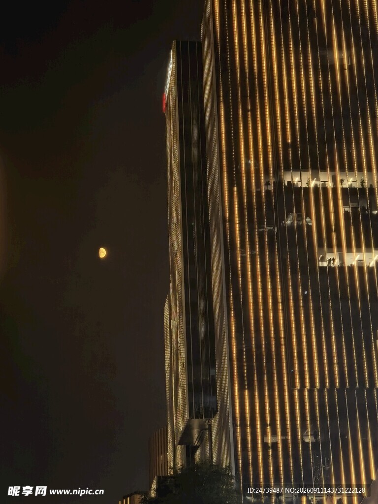 夜晚中的高耸建筑轮廓