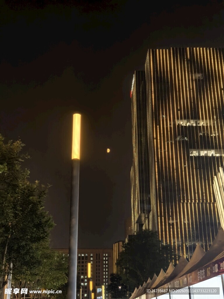 城市夜景中的高楼与路灯