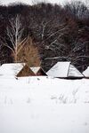 雪覆村落冬日静谧景象
