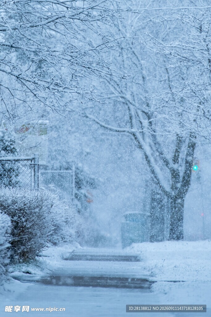 冬日雪景中的静谧街道