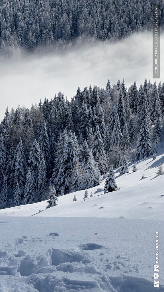 雪覆山林的冬日美景