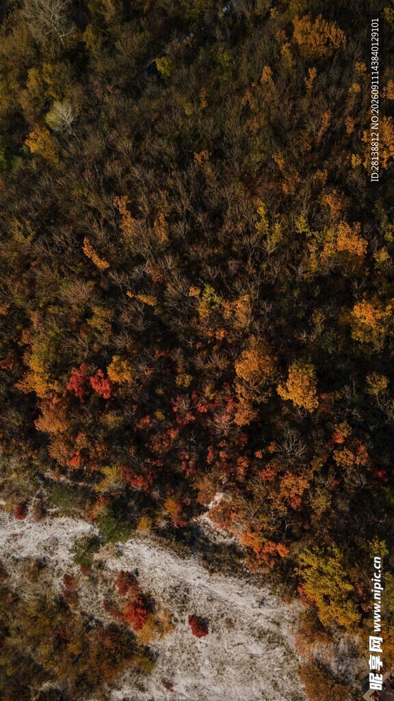 秋日山林俯瞰美景